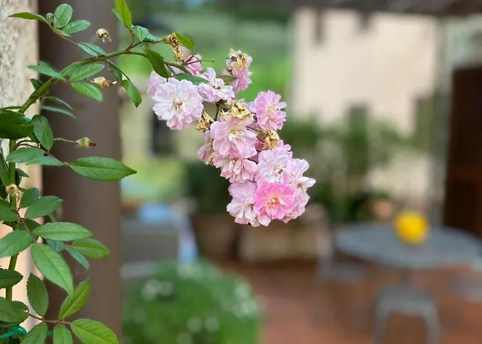 Dimora Campestre Il Cerro 프라토